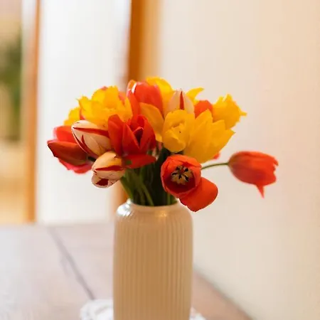 Vakantieboerderij Tourist Farm Tominc