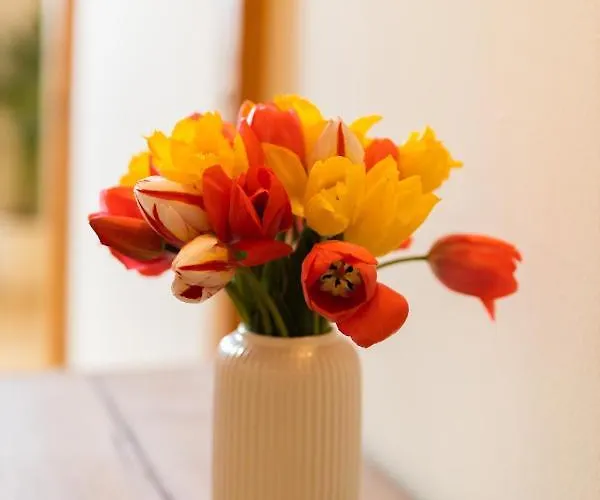 Bauernhof Tourist Farm Tominc